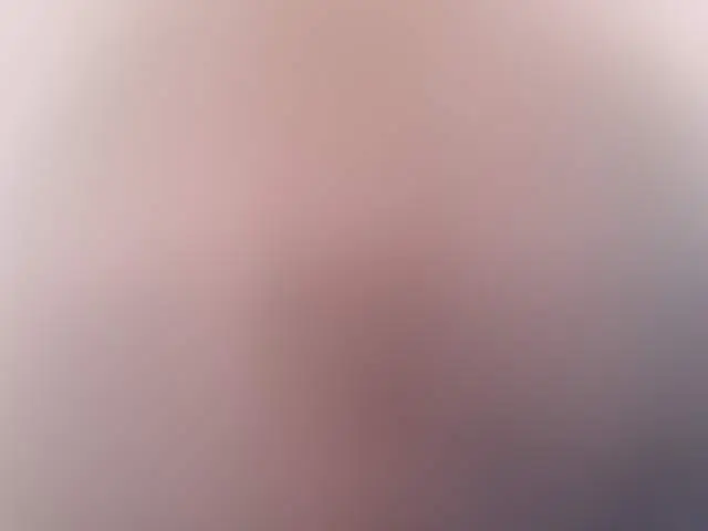 ReBrigitte image 3